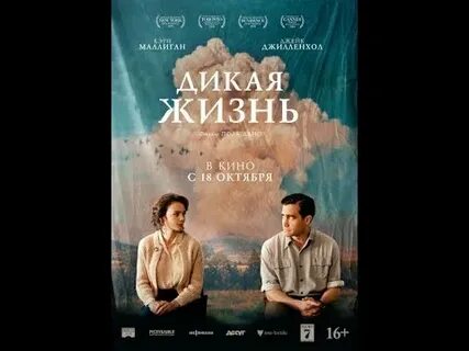 Дикая жизнь в городе