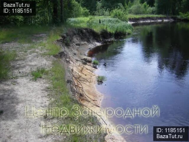 Тукшум самарская область. Погода молвина слобода рязанская область на неделю. Погода молвина слобода рязанская область на неделю. Молвино агро ульяновская область. Село молвино.