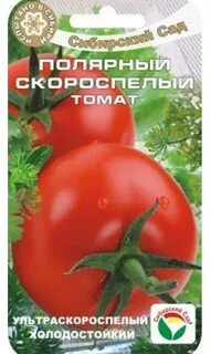Томат полярное сияние