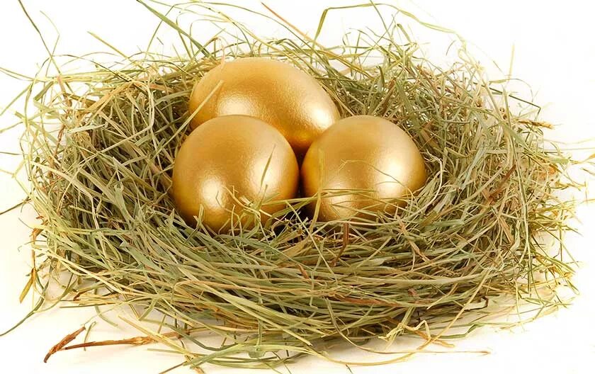 Золотое яичко в гнезде. Гнездо с яйцами. Golden bird egg. Сундук с золотые яйца angry birds. Golden bird egg.