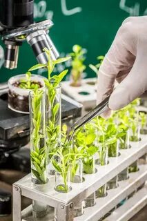 Plant lab
