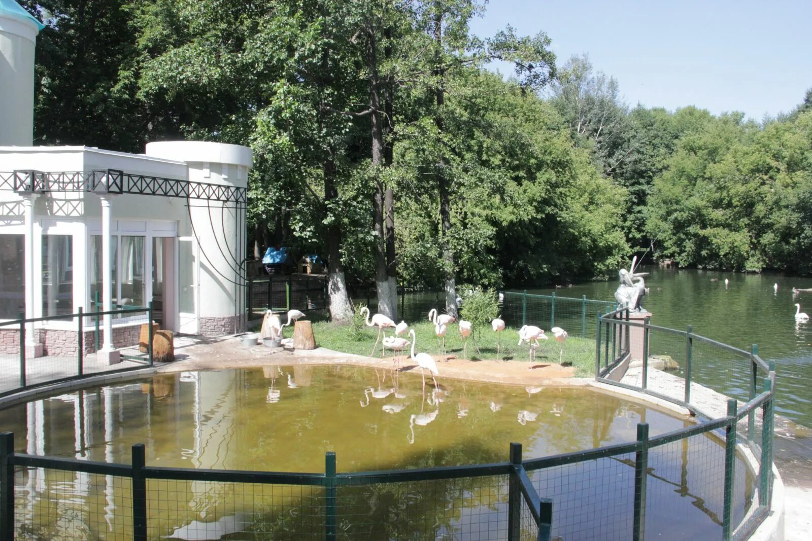 Липецкий зоопарк. Липецкий зоопарк нижний парк. липецкий зоопарк липецк. липецкий зоопарк в нижнем парке. зоопарк в нижнем парке липецк.