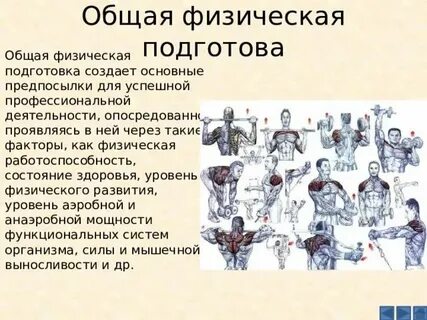 Общая специальная физическая подготовка это