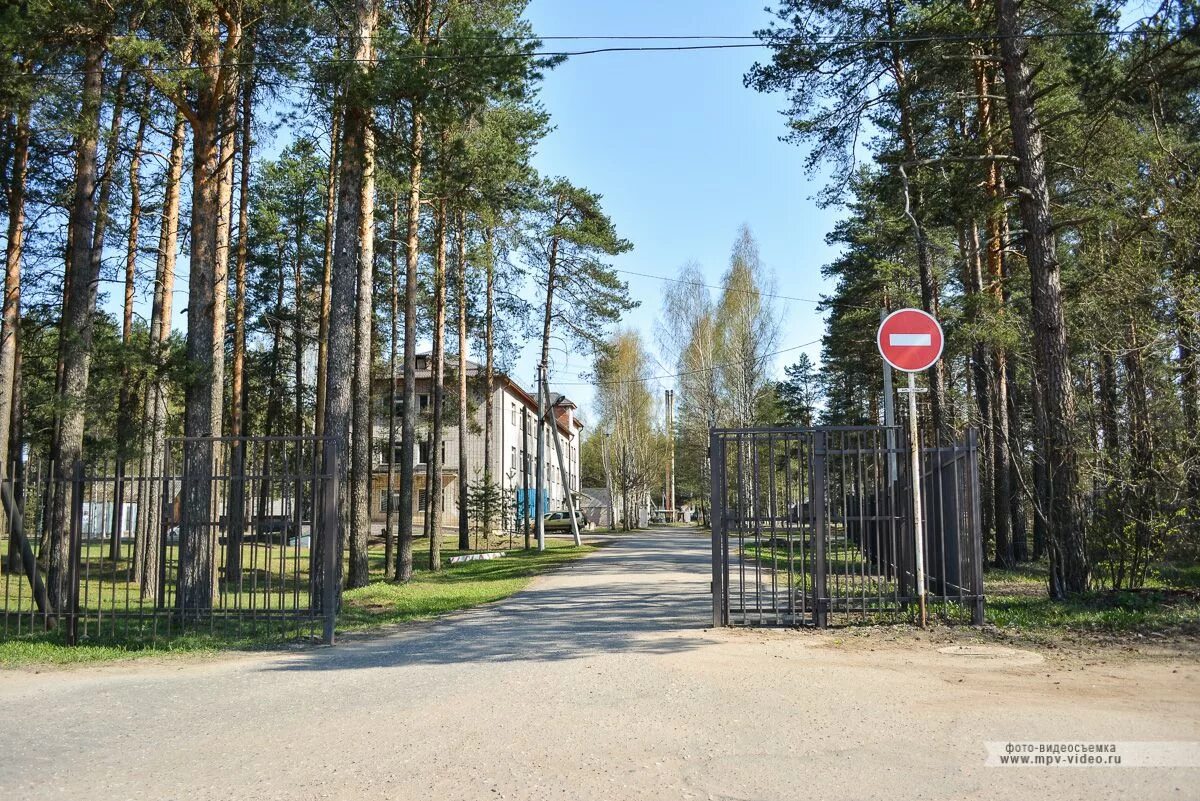 Посёлок Хвойная Новгородская область. Хвойная поселок Новгородская область больница. Хвойная (Хвойнинский район). Лето поселок Хвойная Новгородская область. Поселок хвойная новгородская область