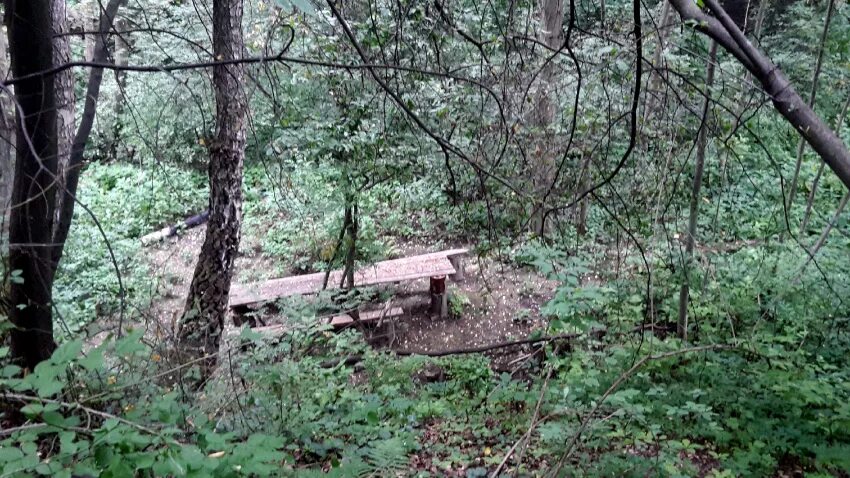 Овраг 1 разбор. Снт диалог дугинский овраг. дугинские каменоломни. дугинский орёл.