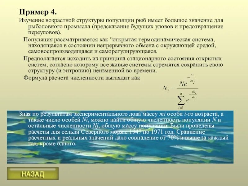 Пример численности. Возрастная структура популяции примеры. популяция рыб пример. 4. возрастная структура популяции. возрастная структура популяции рыб примеры.