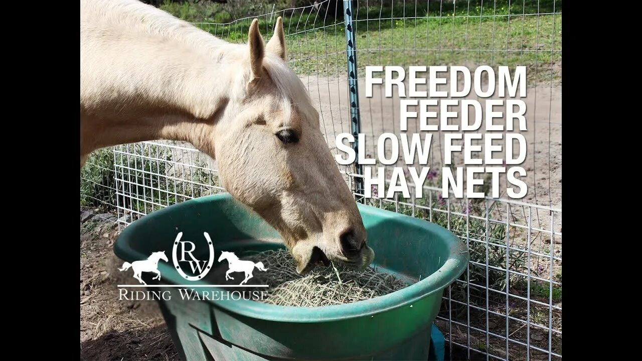 Feed for as. Horse feed. slow horses. feednet.