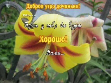 Доброе утро доченька красивые от мамы