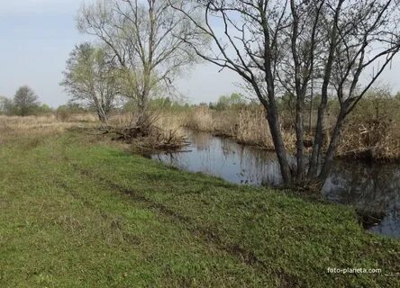 Воскресенск чемодурово