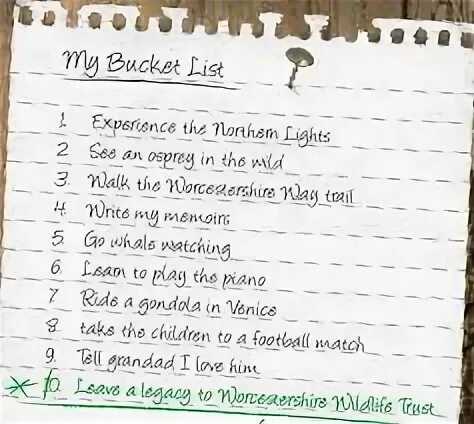 Bucket list в инстаграм как сделать. Bucket list перевод. bucket list examples. bucket list примеры. bucket list на русском.