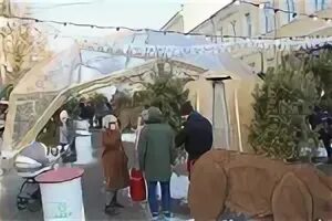 Стар тендер
