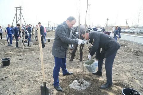 Погода в образцово