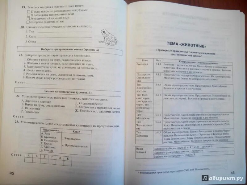 Промежуточная аттестация по физике 10 класс. Промежуточная аттестация по биологии 6. Аттестация биология 6 класс. Подготовка к итоговой аттестации по биологии 5 класс. Промежуточная аттестация 5 класс.