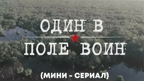 И один в поле воин читать