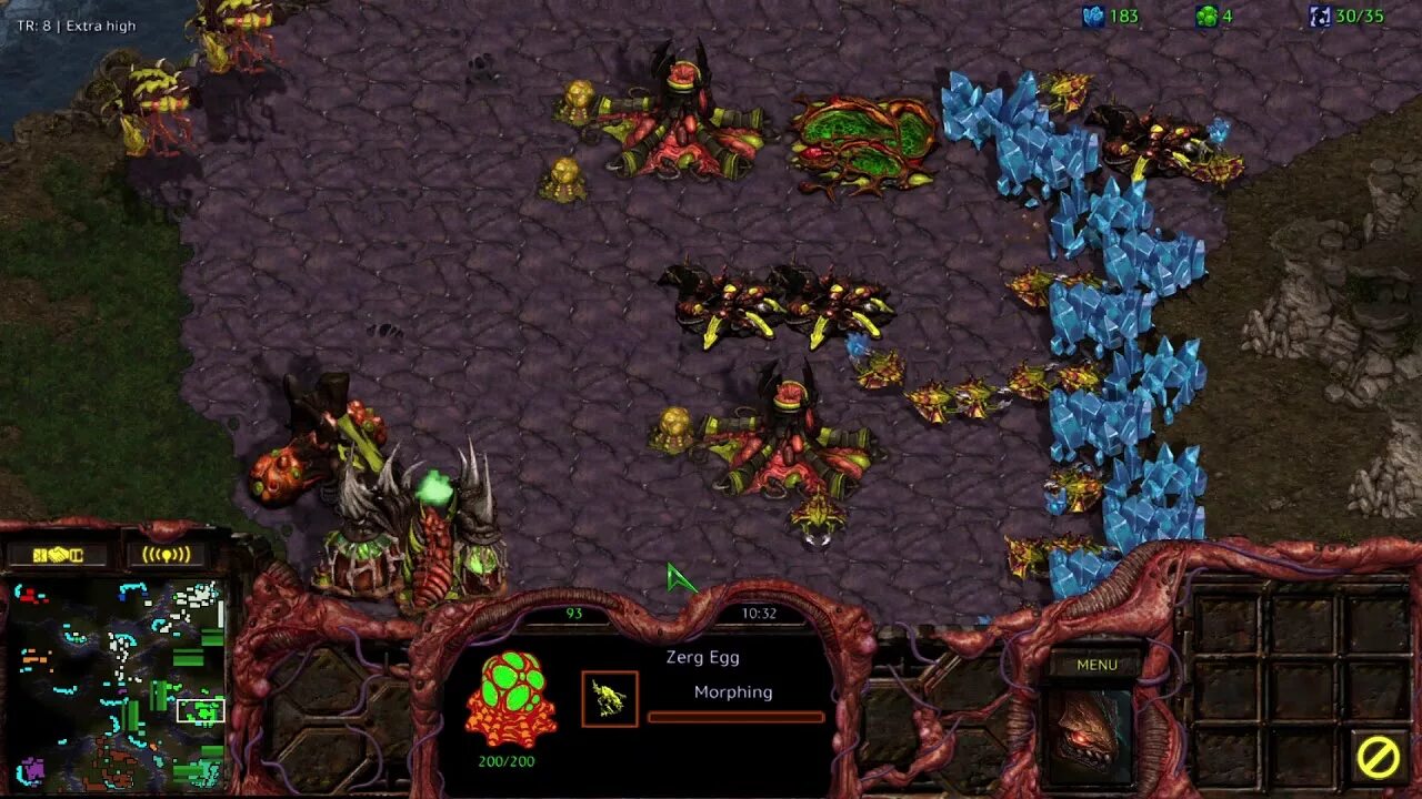 Zerg rush