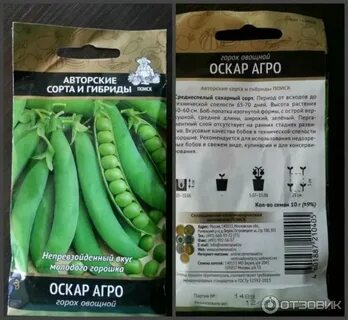 Сорта гороха характеристика