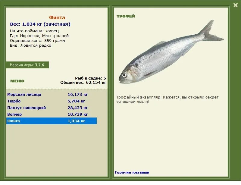 Планирование средняя рыбы. Рыба средних размеров. Гипероглиф магазин Владивосток. Средний вес рыбы ставриды. Русская рыбалка 3 7 4 Япония японский морской Судак.