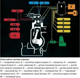 Система управление инжекторная двигатель
