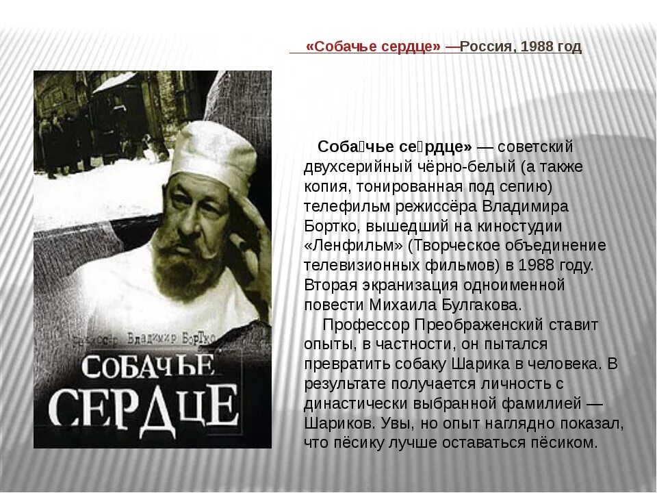 Собачье сердце кратко. Название произведения Собачье сердце. Смысл названия повести Собачье сердце. Смысл рассказа Собачье сердце. Собачье сердце о ком