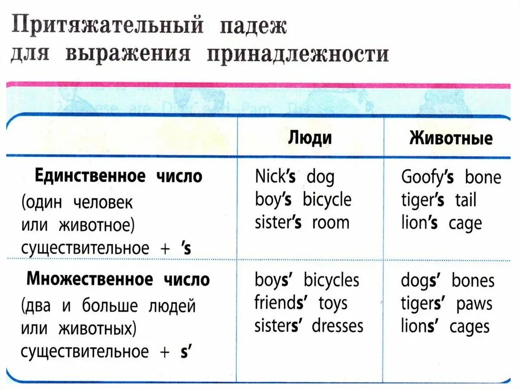 10 притяжательных слов. Существительные в притяжательном падеже в английском языке. Притяжательный падеж существительных. Притяжательный падеж в английском. Притяжательный пвдеж в англ.