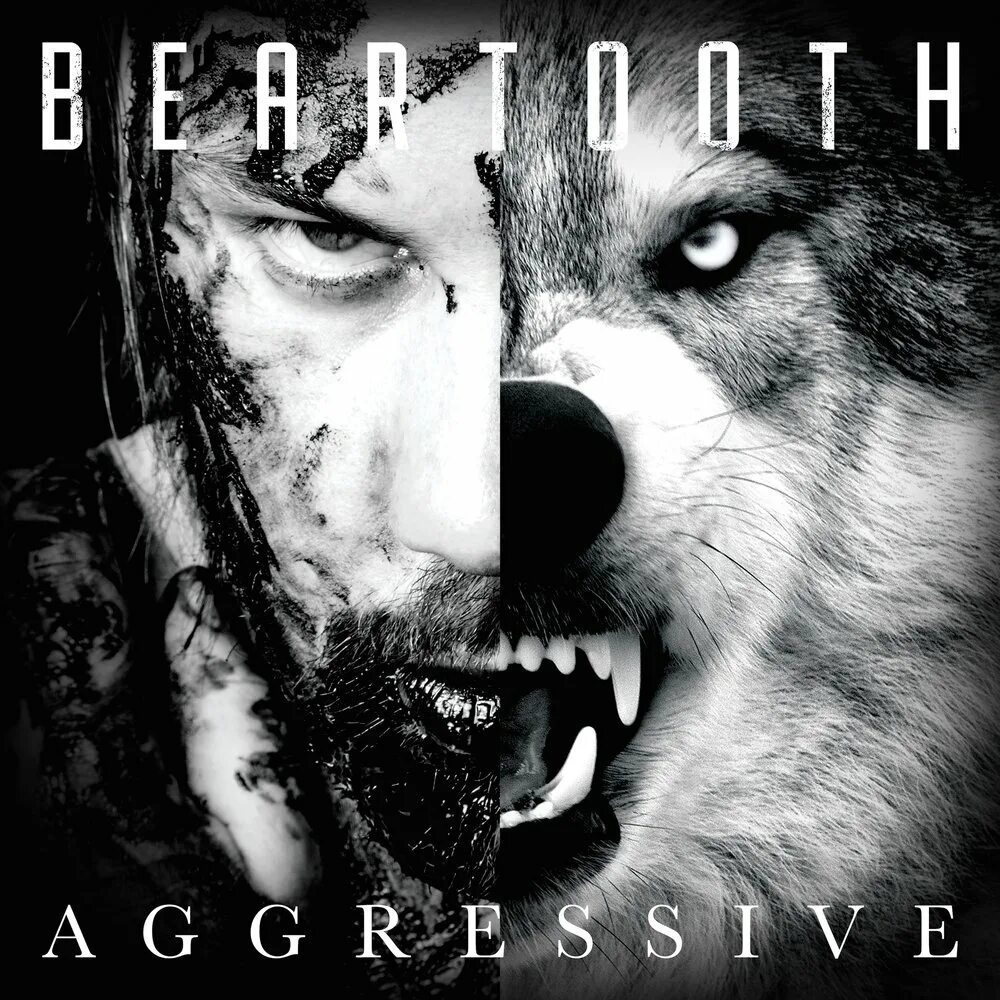 All can be aggressive