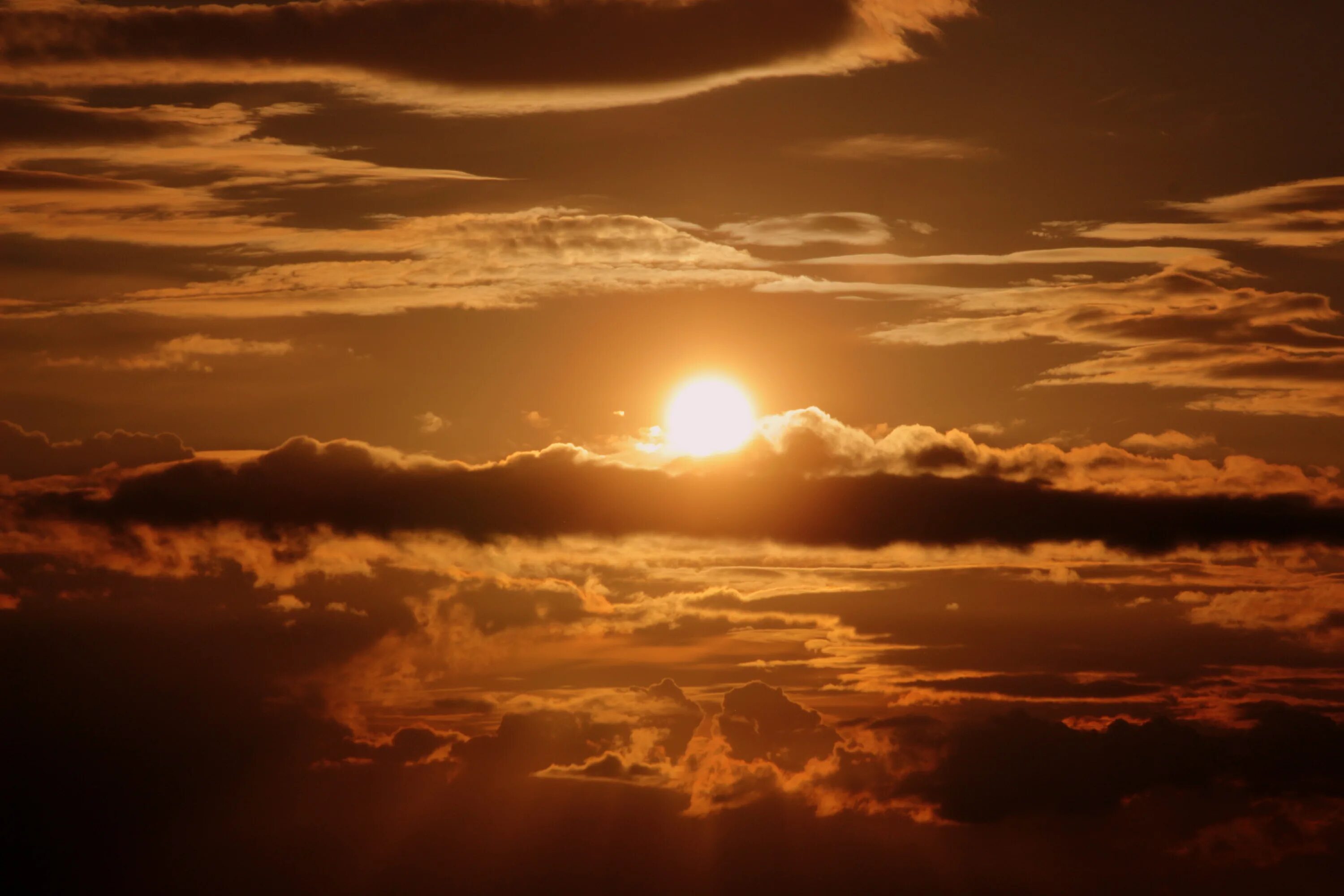 Sun us. Небо солнце. Солнце в облаках. Закат солнца. Солнечное небо.