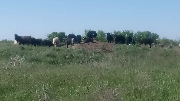 Село Луговское Саратовская область. Луговское Саратовская область Марксовский район. Луговое Саратовская область Ровенский район. С Луговское Ровенского района Саратовской.