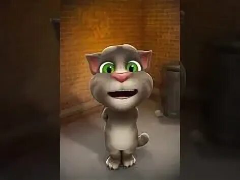 Кот том ютубе. Кот том ютубе