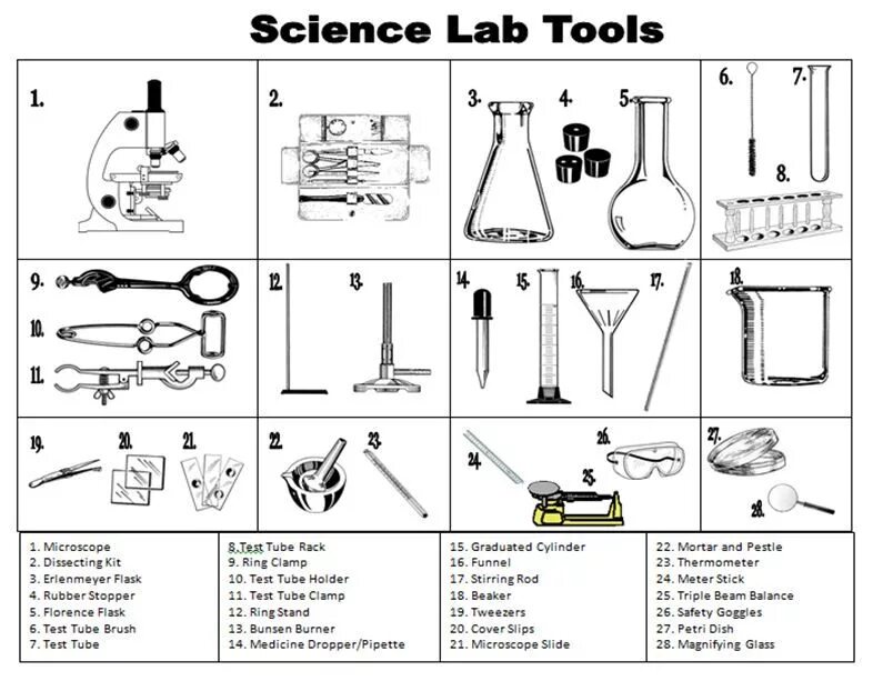 Laboratory methods. Инструменты для экспериментов. laboratory тема vocabulary. scientist worksheets. laboratory tools.