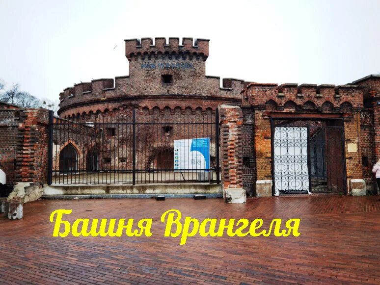 Калининград 2025 куда сходить. Калининград 2025 куда сходить