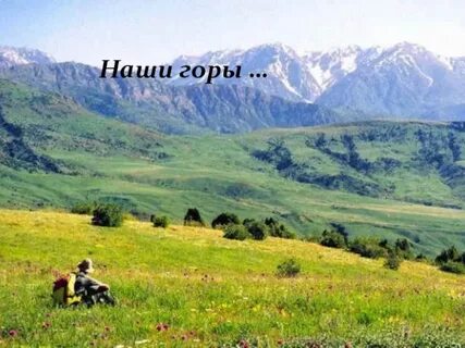 Горы моей родины