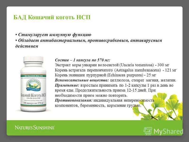 кошачий коготь нсп капсулы