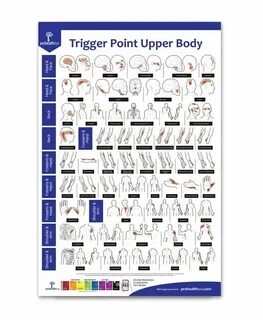 Trigger body