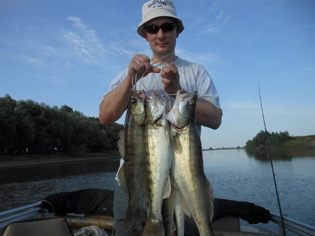 ловля ахтубе. ловля ахтубе. астрахань рыбалка ахтуба. ахтуба рыболовный магазин. ловля ахтубе.