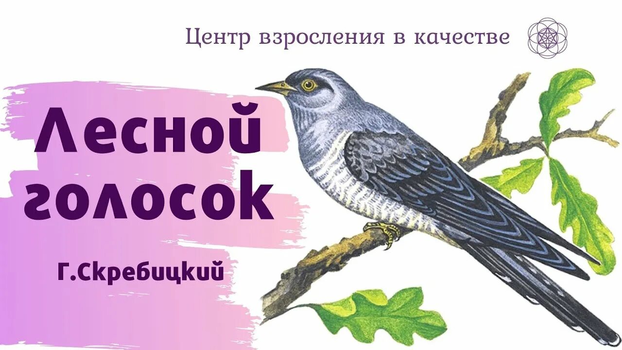 Скребицкий Лесной голосок. Скрребицктй Лесной голос.