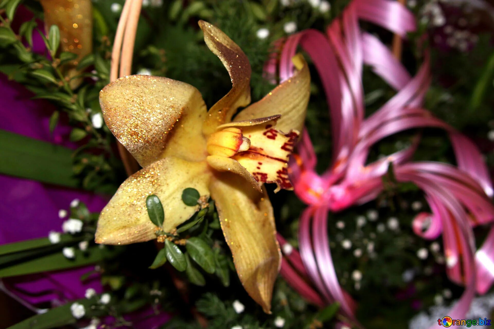 Малазийская Золотая Орхидея. Золотая Орхидея Малайзия. Орхидея золото Кинабалу. Орхидея "золото Кинабалу" (p. rothschildianum). Золото кинабалу