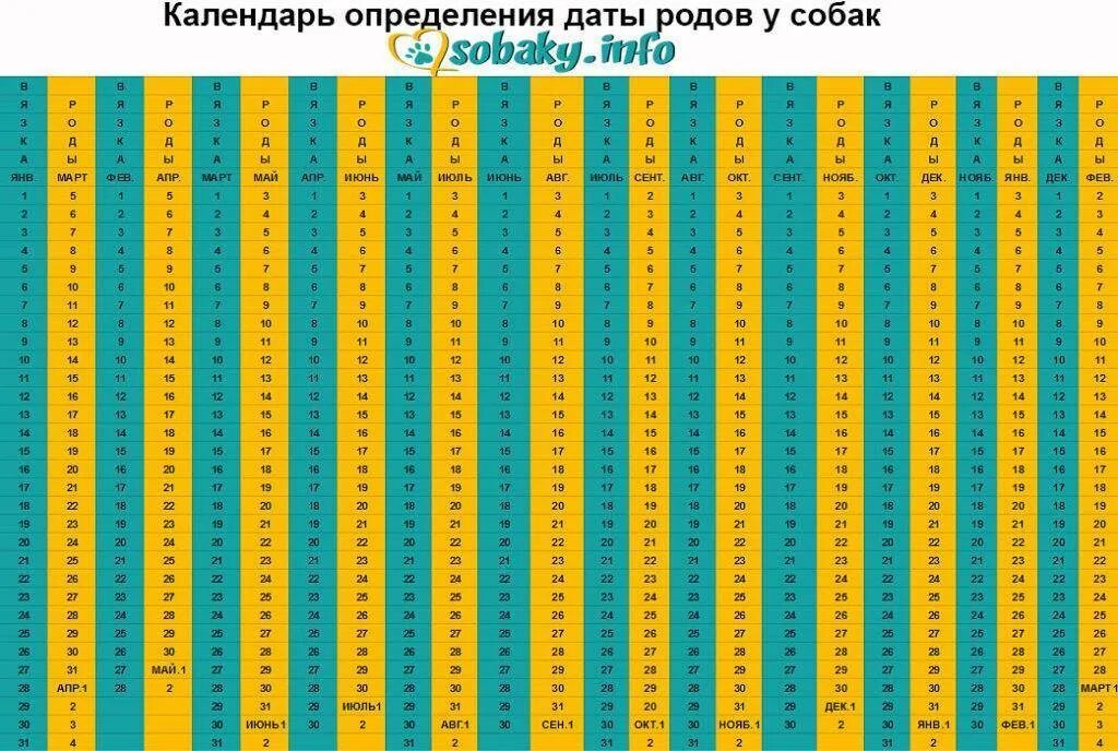Определить точный срок