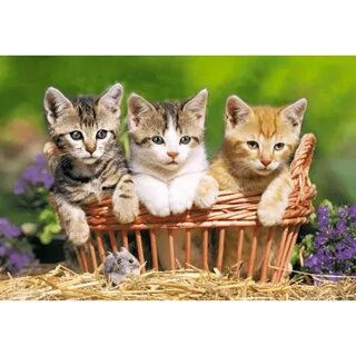 3 котенка пазлы