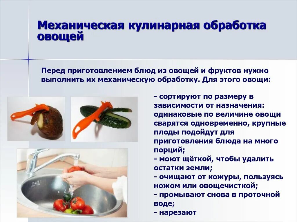 Обработка продуктов овощи. Механическая обработка овощей 5 класс технология. Перечислить виды механической обработки овощей. Механическая кулинарная обработка плодовых овощей. Технология механической кулинарной обработки овощей.