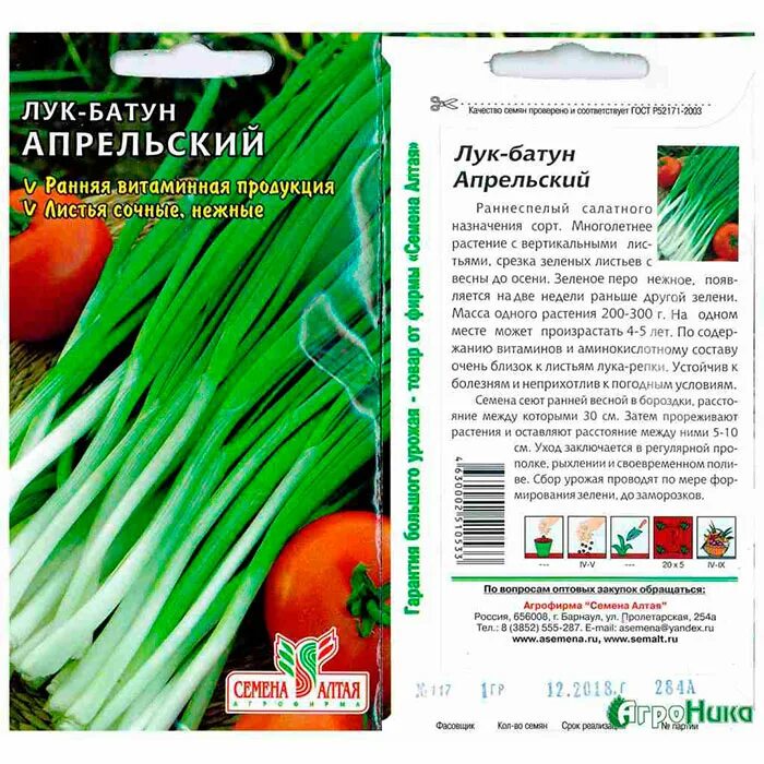 Как посеять лук батун. Лук батун семена описание. Лук батун Сибирский сад. Лук батун характеристика.