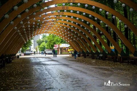 Парк сокольники деревья