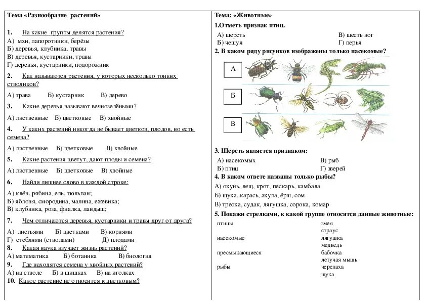 Тест по окружающему миру экология 3. Тест по окружающему миру 3 класс растения. Задания по окружающему 2 класс. Проверочная работа окружающий мир 2 класс растения. Тест растения 2 класс.