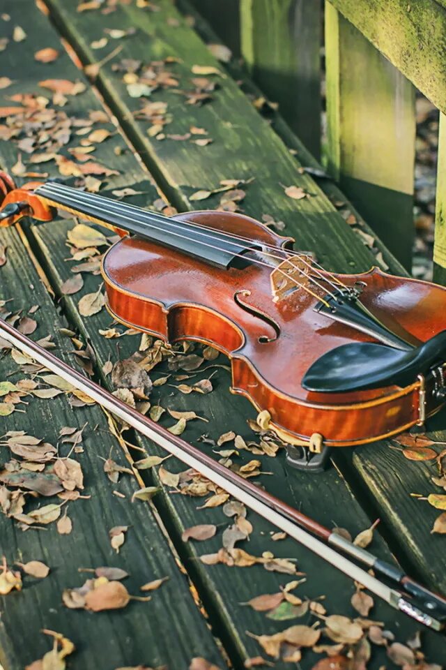 Скрипка самое лучшее. Скрипка. Красивая скрипка. Смычок для скрипки. Скрипка картина.