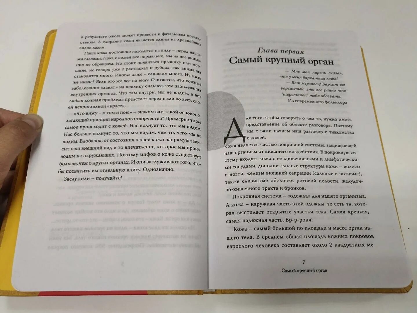 Кожа миф. Кожа миф