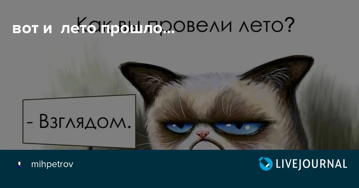 Вот и лето прошло. Провел лето взглядом. Вот т лето прошло. Как вы провели лето взглядом. Вот и лето прошло тарковский текст