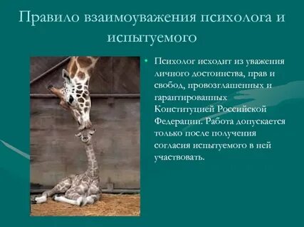 Правила психолога