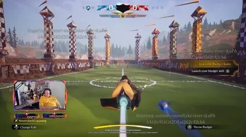 Quidditch champions
