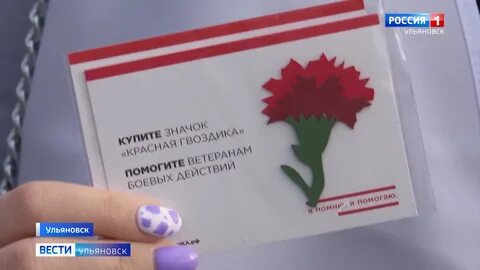 Красная гвоздика гомель сайт