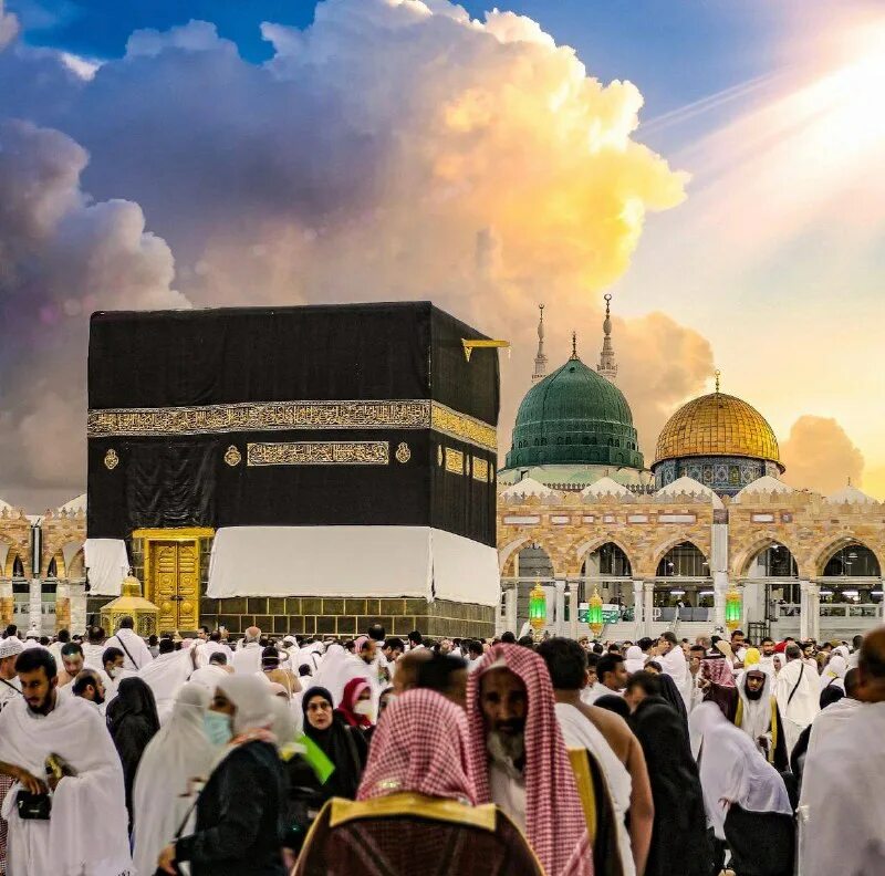 хадис о запрете музыки. ты харам. халал харам логотип. харам. харам значок.