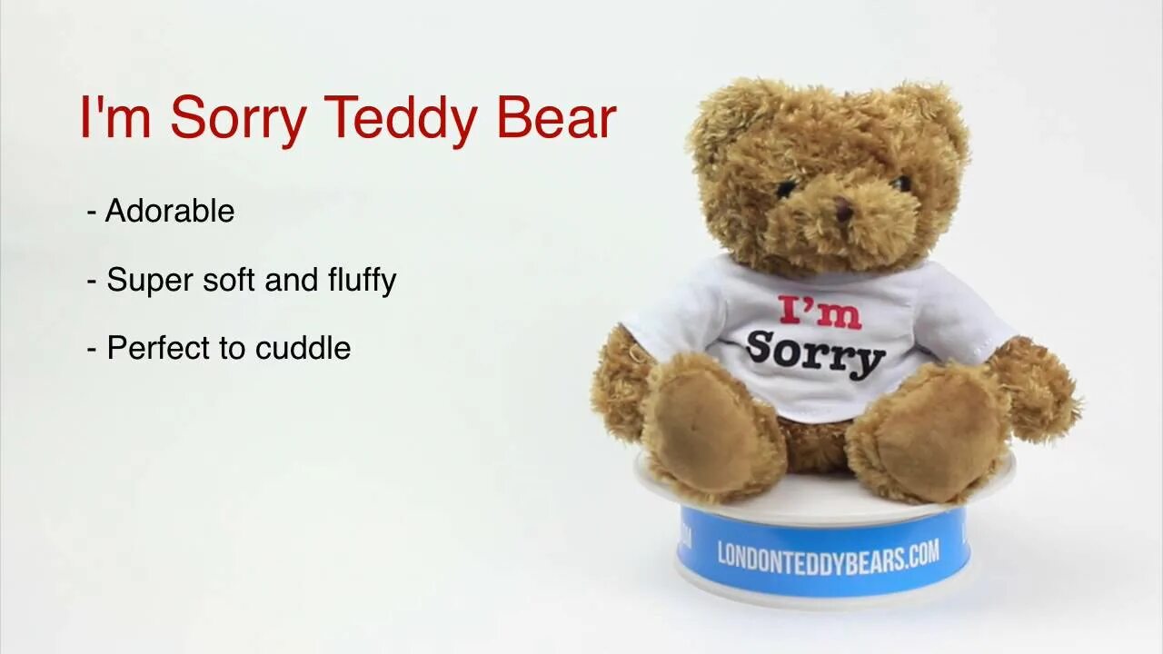 Тедди сорри. Медвежонок sorry. Sorry with Teddy. Мишка sorry игрушка.